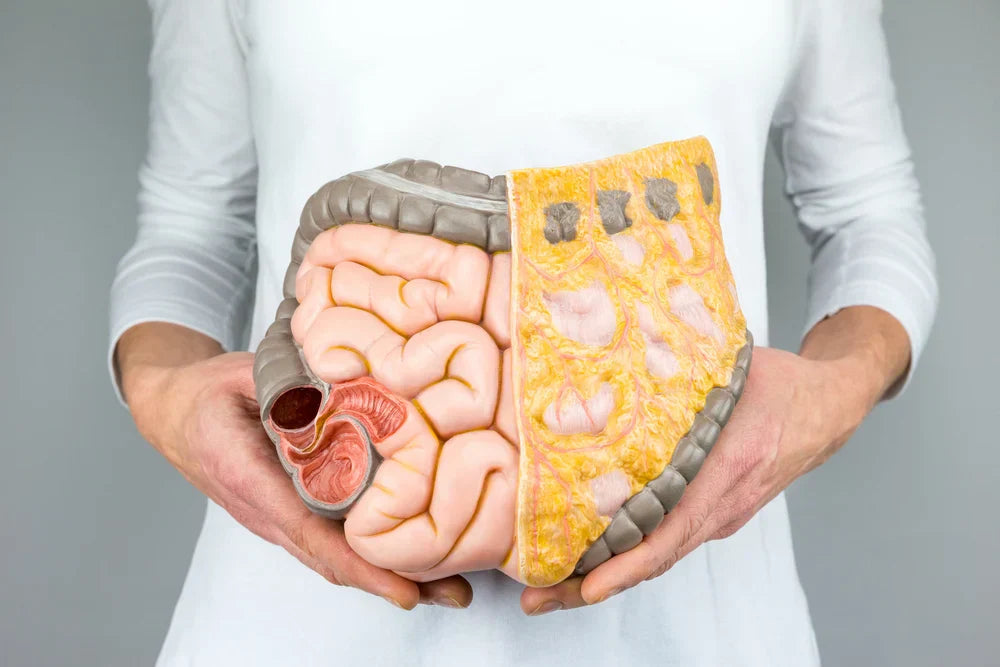 Lactose Intolerance: All You Need to Know
